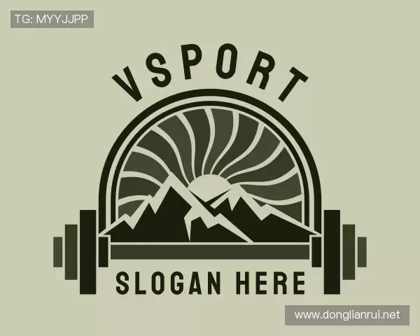 解读VSport最新地址